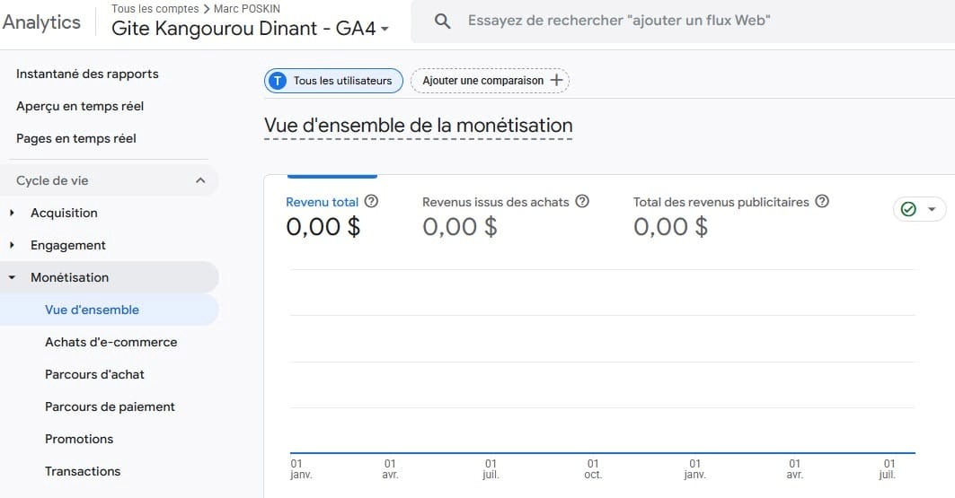 Rapport de monétisation GA4 entièrement vide